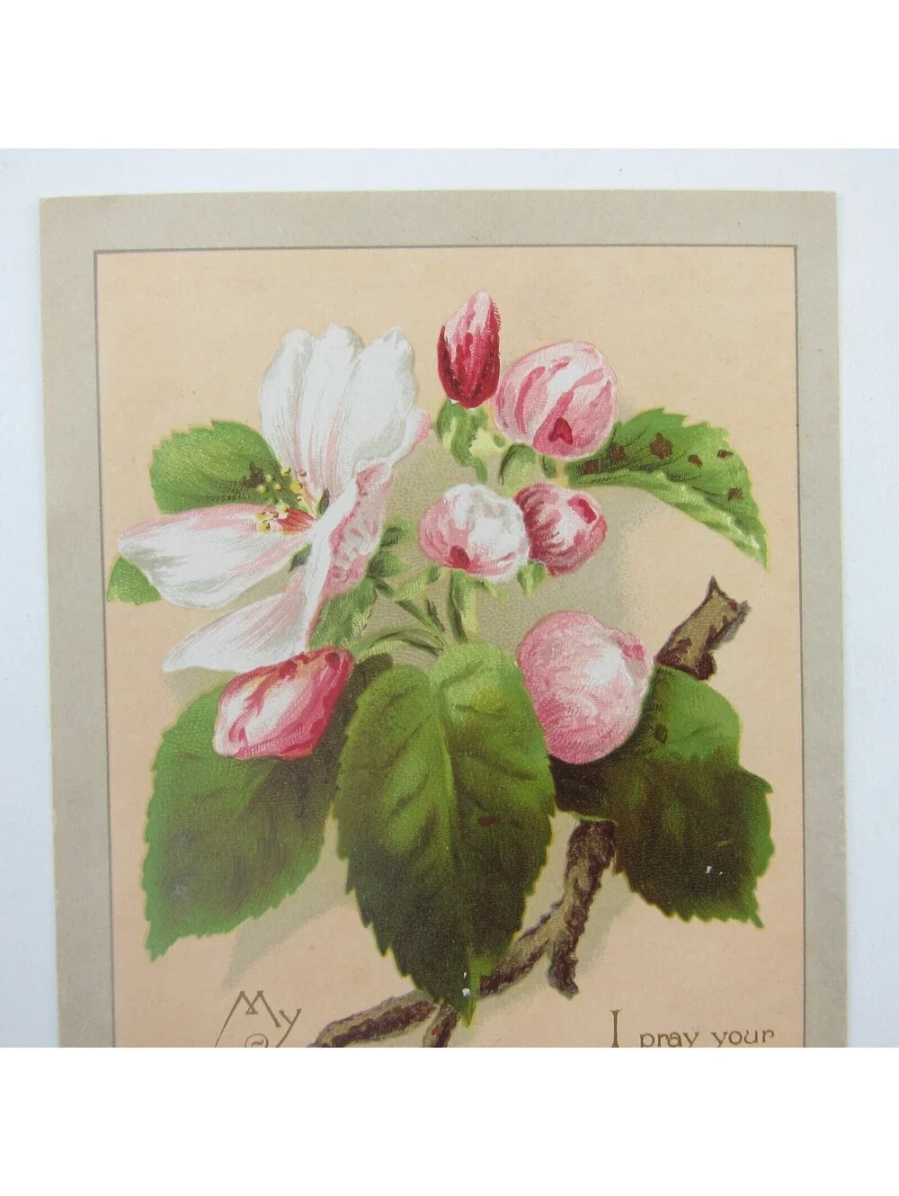 Victorian Greeting Card Valentine Pink White Apple Blossom Flowers Antique 1884